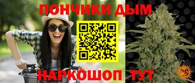 mdpv Гусиноозёрск