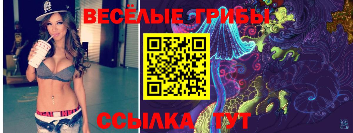 Галлюциногенные грибы GOLDEN TEACHER  Вход с VPN  Набережные Челны  Галлюциногенные грибы Psilocybe 